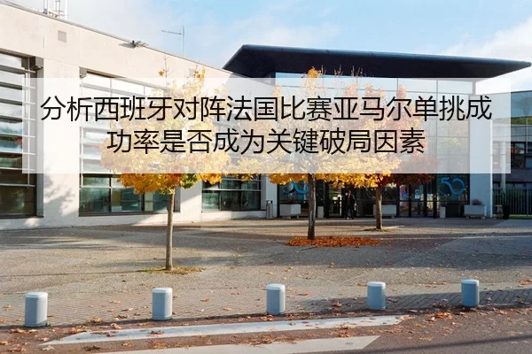 分析西班牙对阵法国比赛亚马尔单挑成功率是否成为关键破局因素