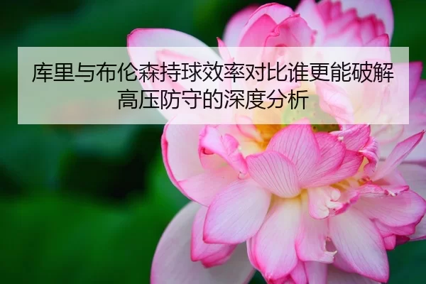 库里与布伦森持球效率对比谁更能破解高压防守的深度分析