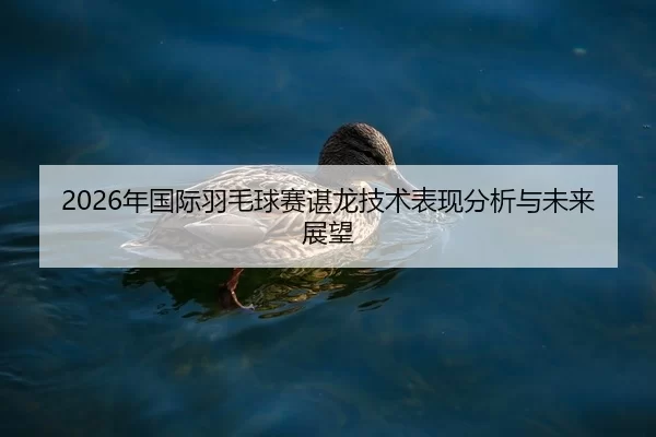 2026年国际羽毛球赛谌龙技术表现分析与未来展望