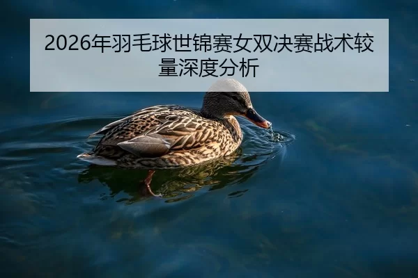 2026年羽毛球世锦赛女双决赛战术较量深度分析