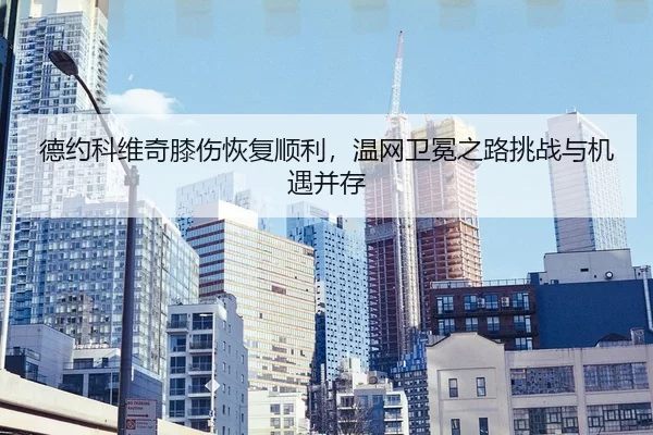 de-yue-ke-wei-qi-xi-shang-hui-fu-shun-li-wen-wang-wei-mian-zhi-lu-tiao-zhan-yu-ji-yu-bing-cun-2-661.jpg