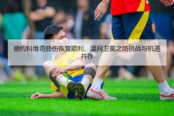 德约科维奇膝伤恢复顺利，温网卫冕之路挑战与机遇并存