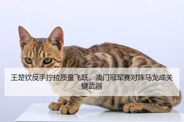wang-chu-qin-fan-shou-ning-la-zhi-liang-fei-yue-ao-men-guan-jun-sai-dui-zhen-ma-long-cheng-guan-jian-wu-qi-3-563.jpg