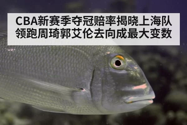 CBA新赛季夺冠赔率揭晓上海队领跑周琦郭艾伦去向成最大变数