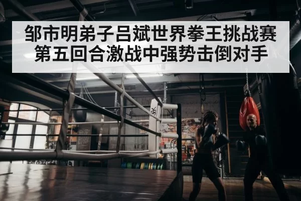 boxer training