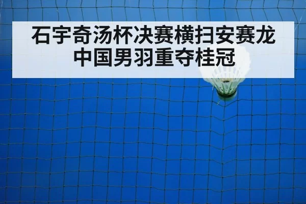 badminton net play