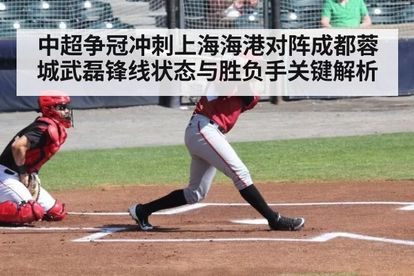 中超争冠冲刺上海海港对阵成都蓉城武磊锋线状态与胜负手关键解析